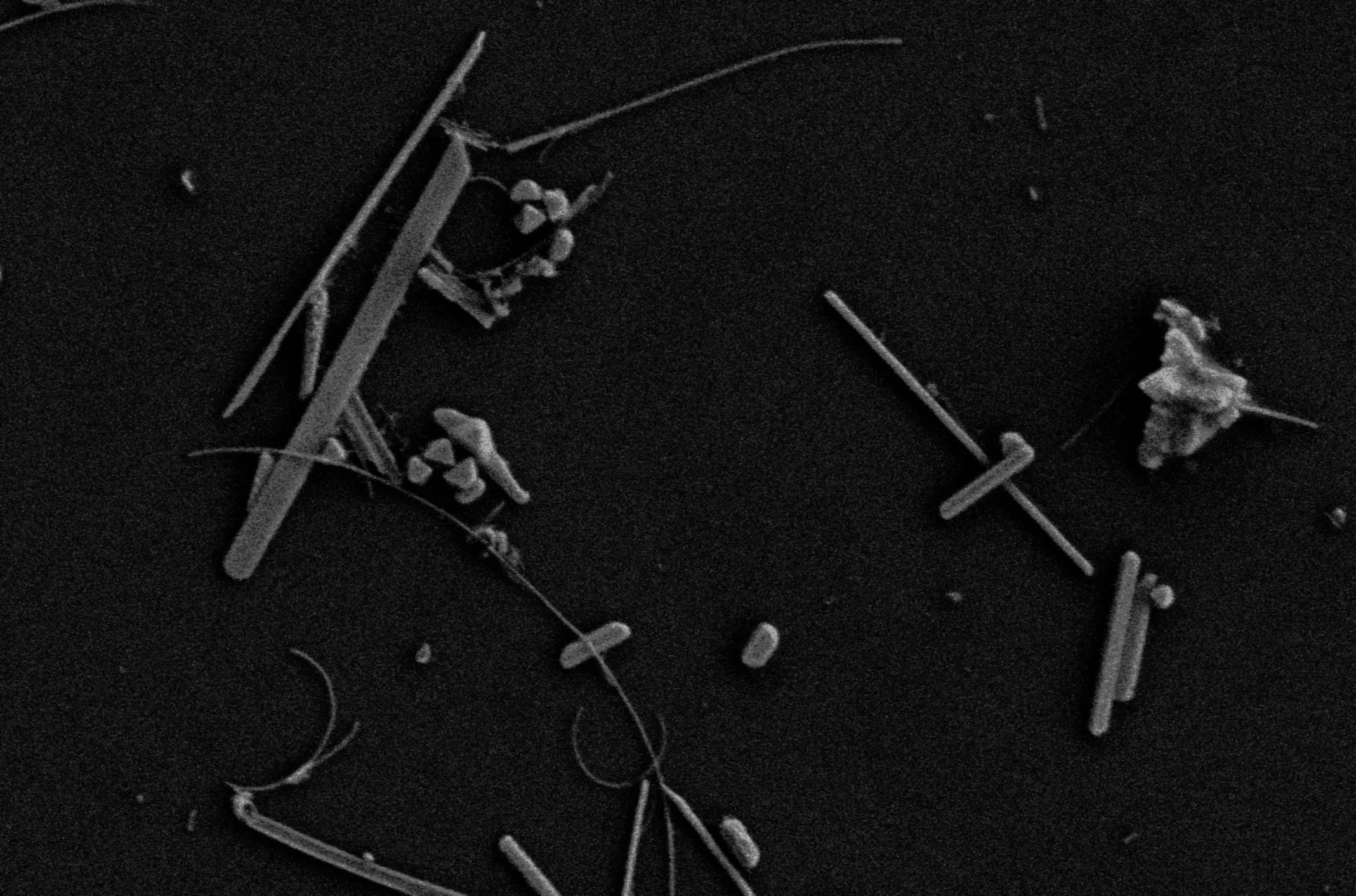 SnTeナノ粒子の作成